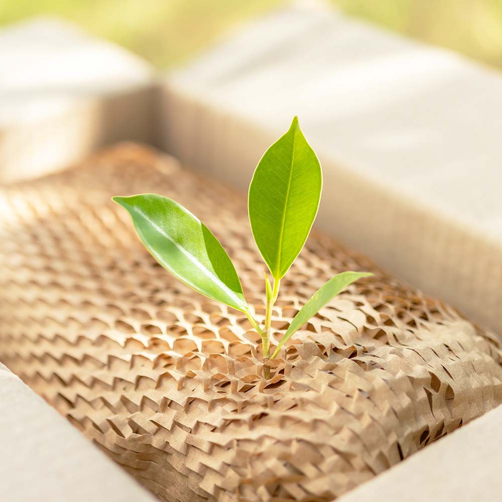 Green leaf on eco friendly brown paper honeycomb wrap for product packaging parcel carton box