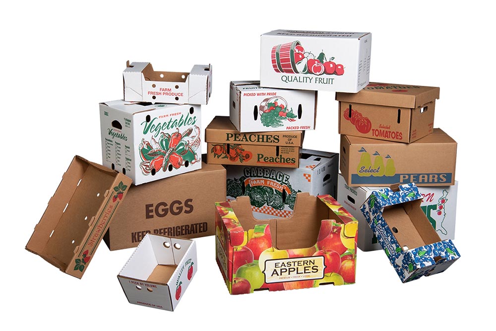corrugated food boxes of different varieties